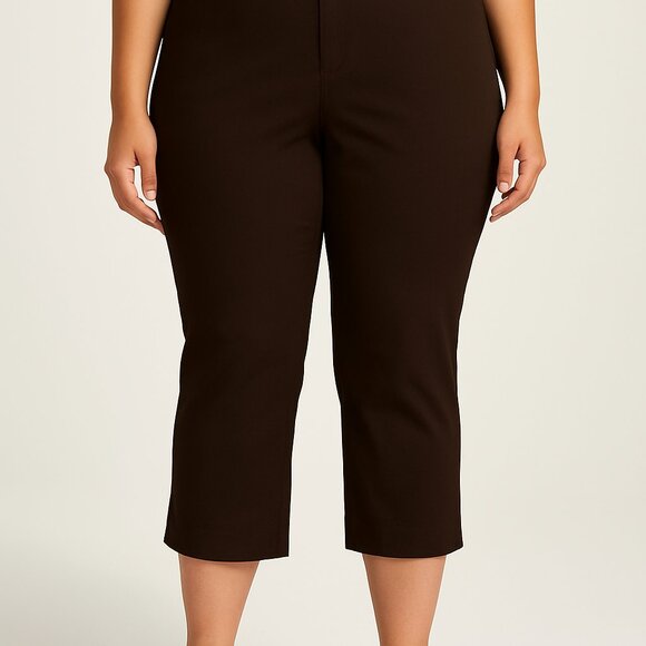 NWT SAG HARBOR 18W Brown Stretch Crop Pants | Slimming Fit | Classic Style - Picture 1 of 5